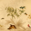 Gaston SUISSE (1896-1988) - Colins de Californie, et oiseaux exotiques.